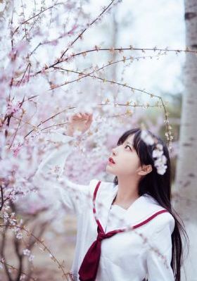 家庭教师韩国_BD英语在线观看高清